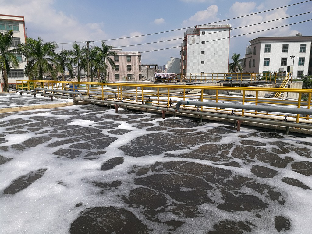 屠宰場廢水微生物国产做爱麻豆